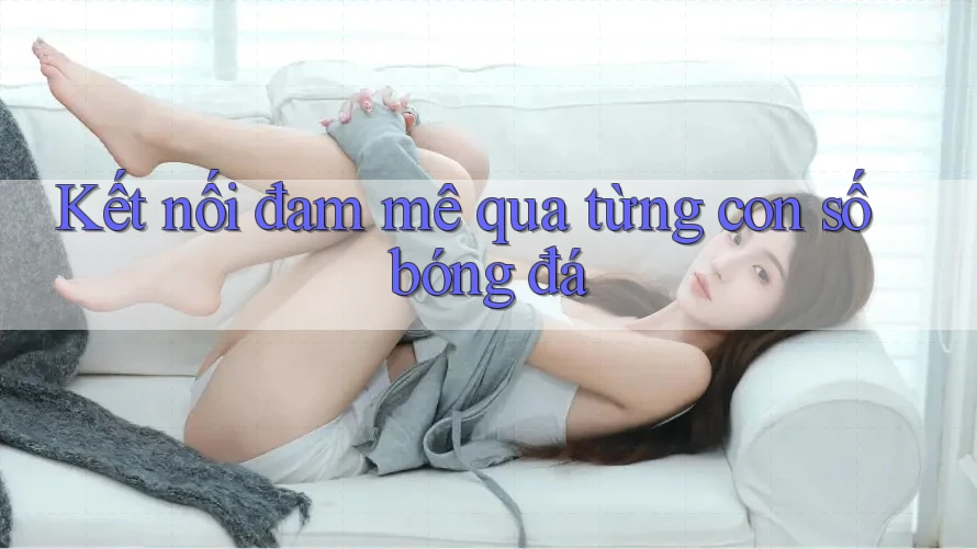 Kết nối đam mê qua từng con số bóng đá