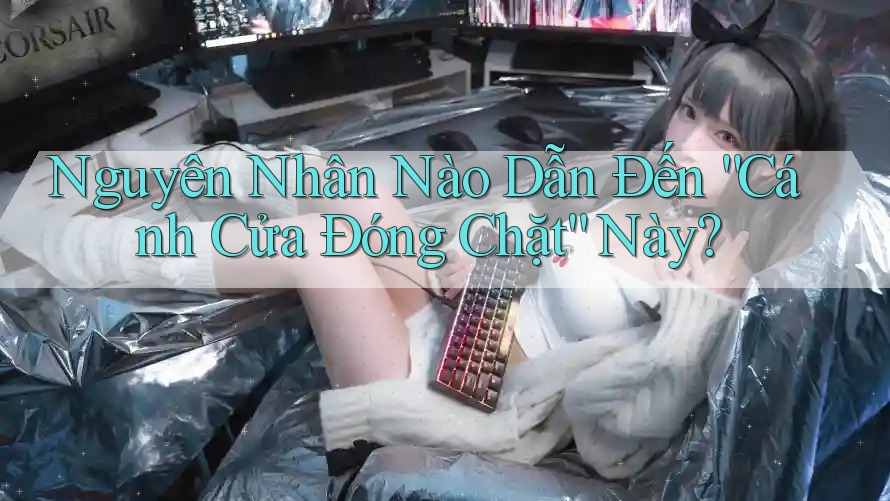 Nguyên Nhân Nào Dẫn Đến “Cánh Cửa Đóng Chặt” Này?